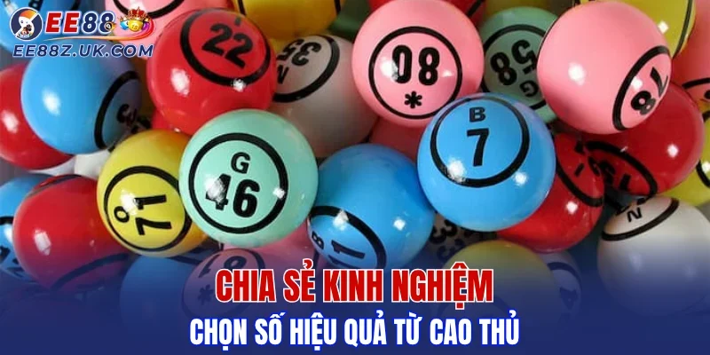 Chia sẻ kinh nghiệm chọn số hiệu quả từ cao thủ