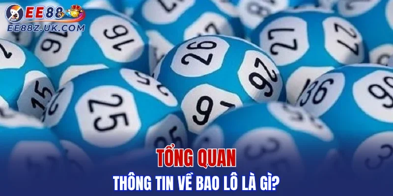 Tổng quan thông tin về bao lô là gì?